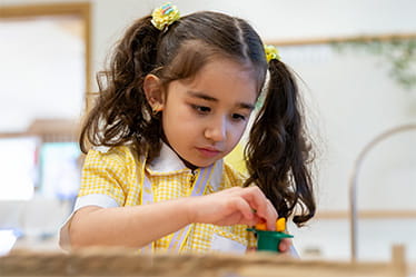 TSK_Admissions_Vistimeline_374x249_4